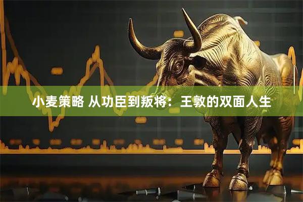 小麦策略 从功臣到叛将：王敦的双面人生