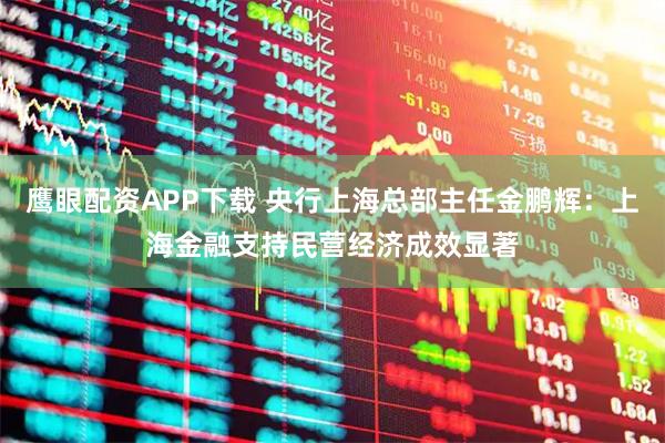 鹰眼配资APP下载 央行上海总部主任金鹏辉：上海金融支持民营经济成效显著